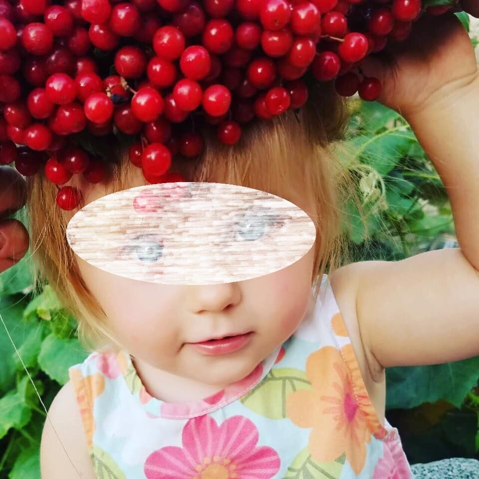 Аня хотела забрать дочь в Германию