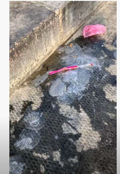 Медуз выбрасывают на берег