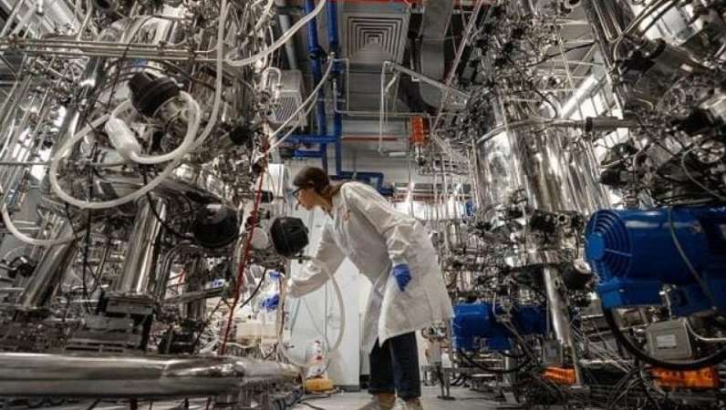 В Израиле начали делать искусственное мясо dqxikeidqxiqqeant