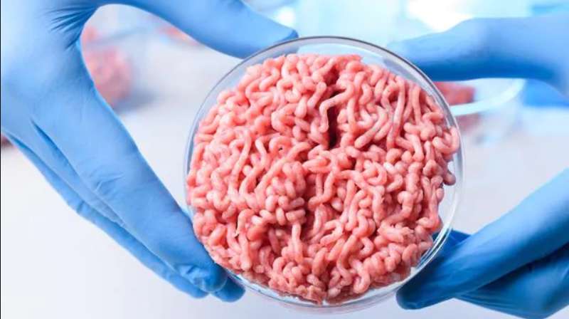 Искусственное мясо