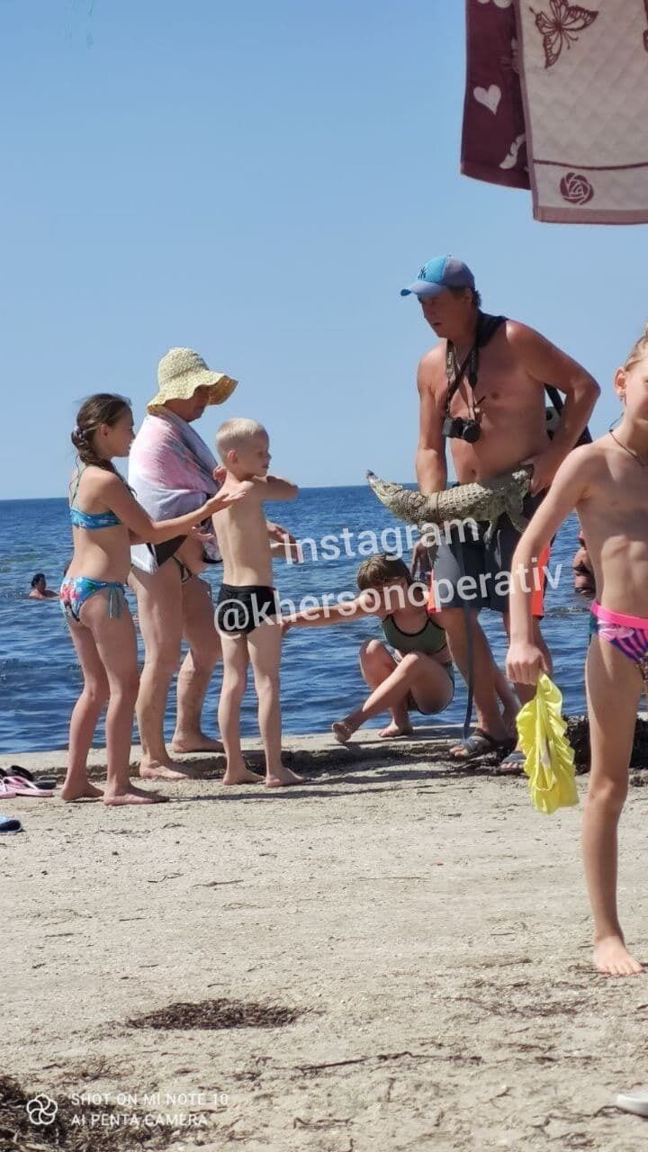 Крокодил на пляже Скадовска dqxikeidqxitkant