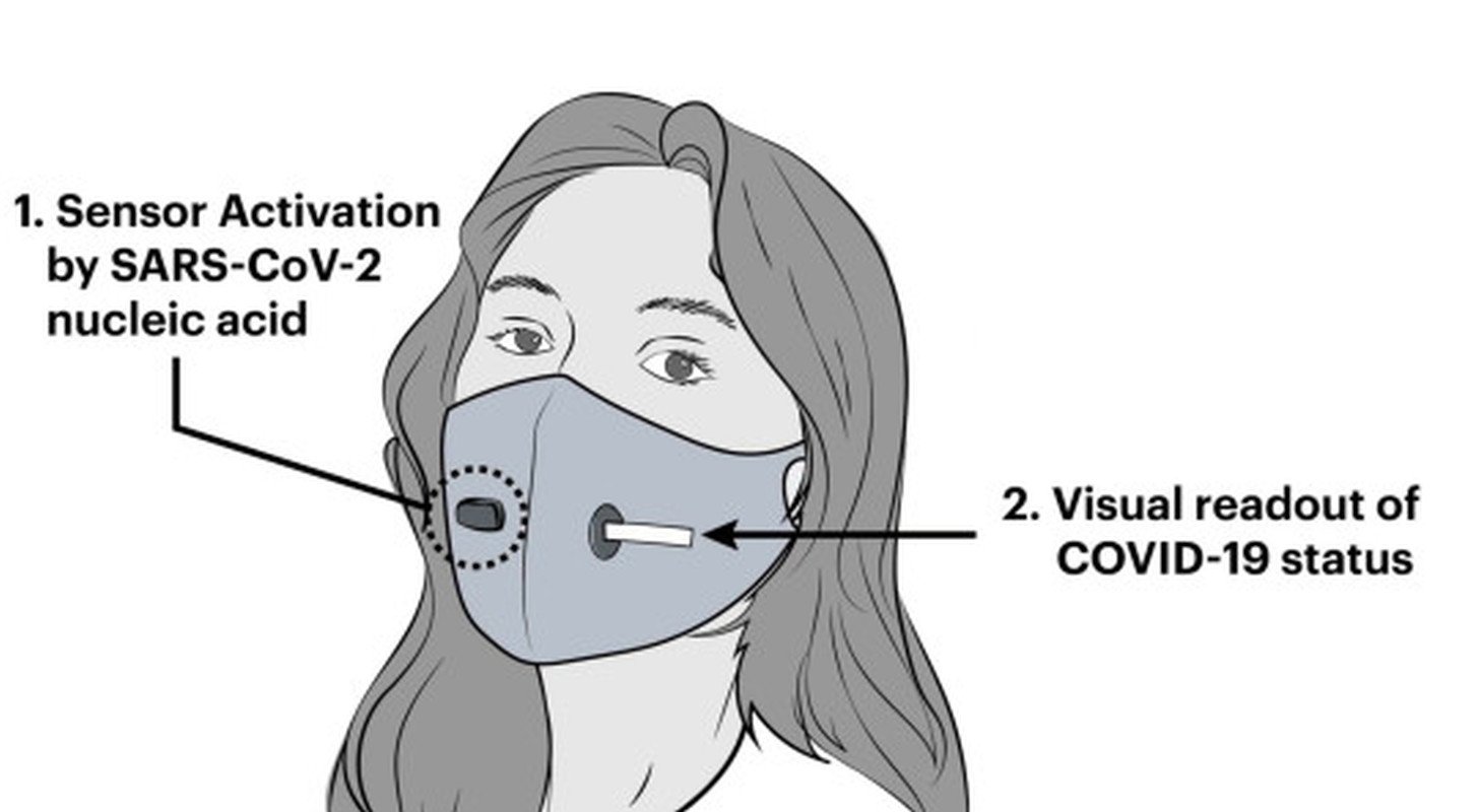 Американцы изобрели маску, которая информирует о заражении Covid-19 - фото 1 dqxikeidqxitkant