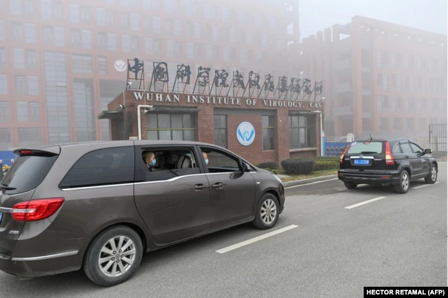          3  2021  dqxikeidqxiqqeant