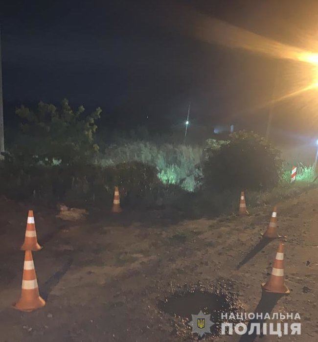 11-летний мальчик разбился за рулем BMW на Львовщине: Пьяный отец сидел рядом 02 dqxikeidqxiqqeant