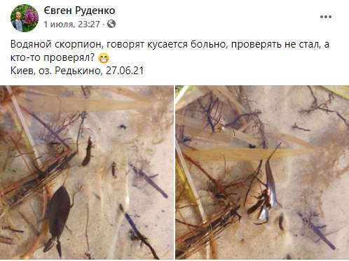 Предупреждение об опасности . dqxikeidqxiqqeant