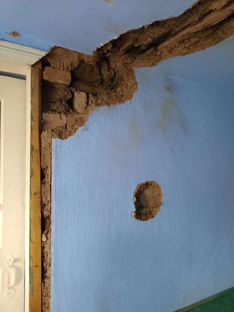        . : facebook.com/dgon.mihaylov