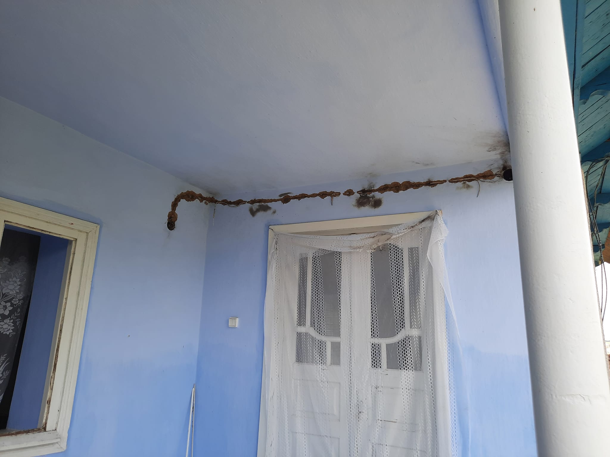        . : facebook.com/dgon.mihaylov