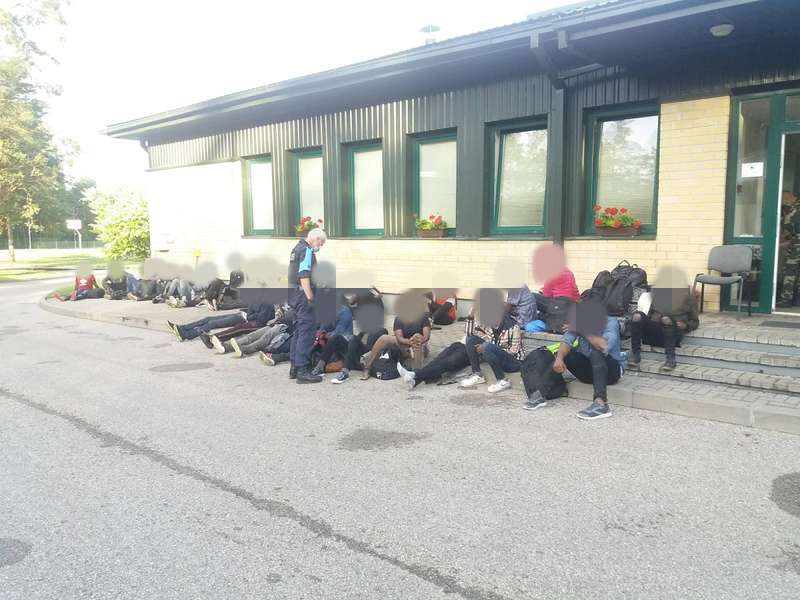      -    . : pasienis.lt