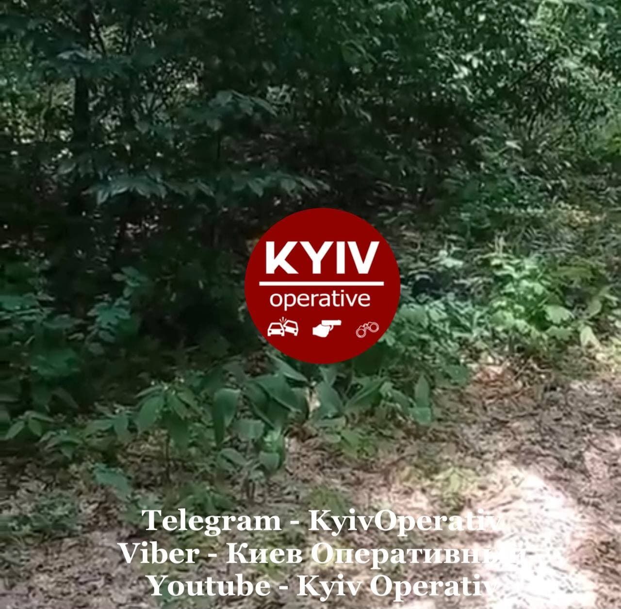 Место, где нашли тело девушки.