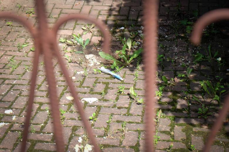 Полицейская лента на месте трагедии