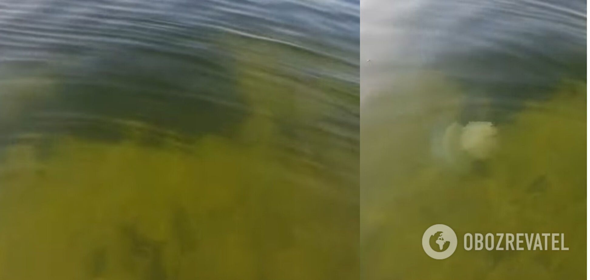 Болотная вода в Азовском море