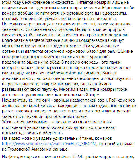 На Одесчине после ливней и жары - нашествие комаров 06