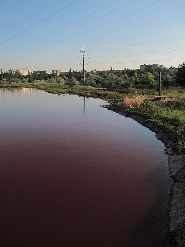 Використано власні фото автора та фото з сайту http://www.0564.ua saksagan2 dqxikeidqxitkant