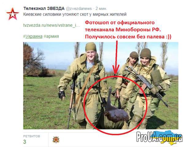 31 dqxikeidqxiqqeant