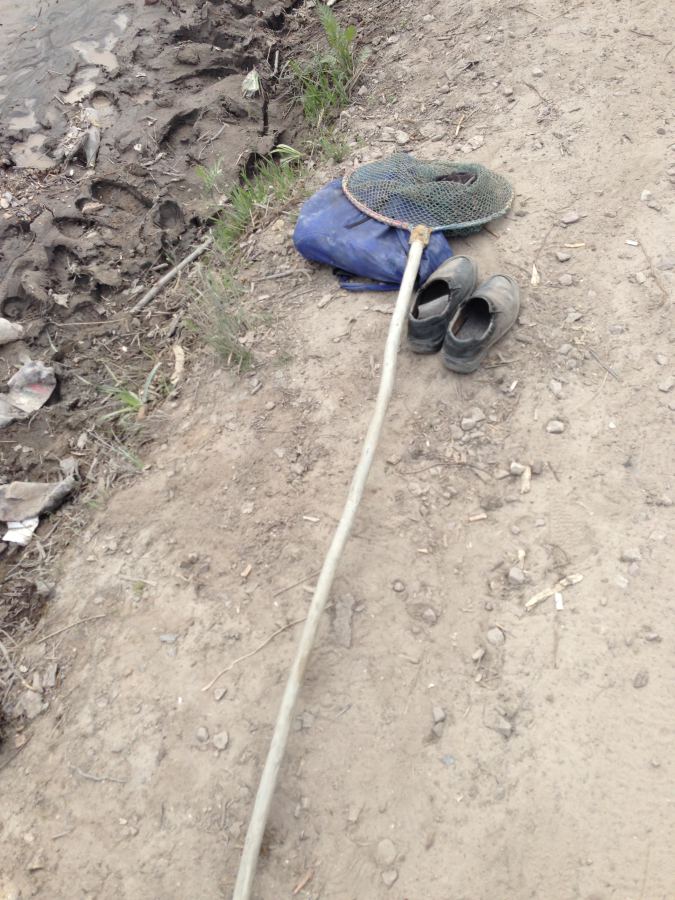 IMG_0439 dqxikeidqxiqqeant