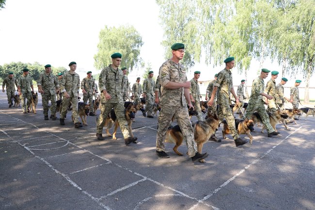 -            02 dqxikeidqxiqqeant