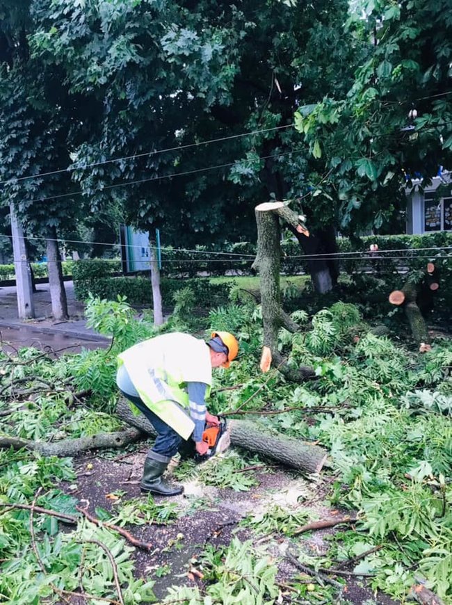 Мужчина пострадал в результате разгула стихии в Житомире, - горсовет 02 dqxikeidqxiqqeant