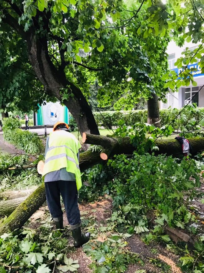 Мужчина пострадал в результате разгула стихии в Житомире, - горсовет 03