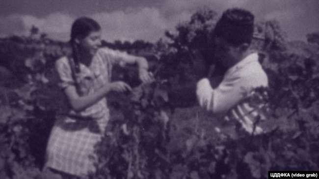 Крымские татары собирают урожай винограда. Крым, 1930-е годы dqxikeidqxitkant