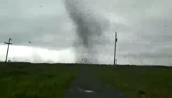 Тучи комаров на Камчатке. dqxikeidqxiqxxant