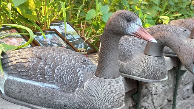 Гаага: в Киеве активисты пикетируют посольство Беларуси с требованием прекратить репрессии 02 Гаага: в Киеве активисты пикетируют посольство Беларуси с требованием прекратить репрессии 02