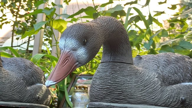 Гаага: в Киеве активисты пикетируют посольство Беларуси с требованием прекратить репрессии 03 Гаага: в Киеве активисты пикетируют посольство Беларуси с требованием прекратить репрессии 03