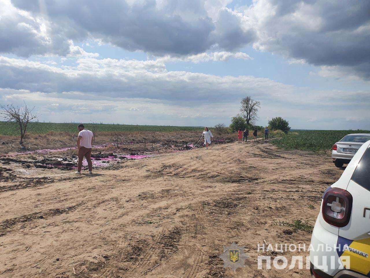 Правоохранители начали разбираться в ЧП.