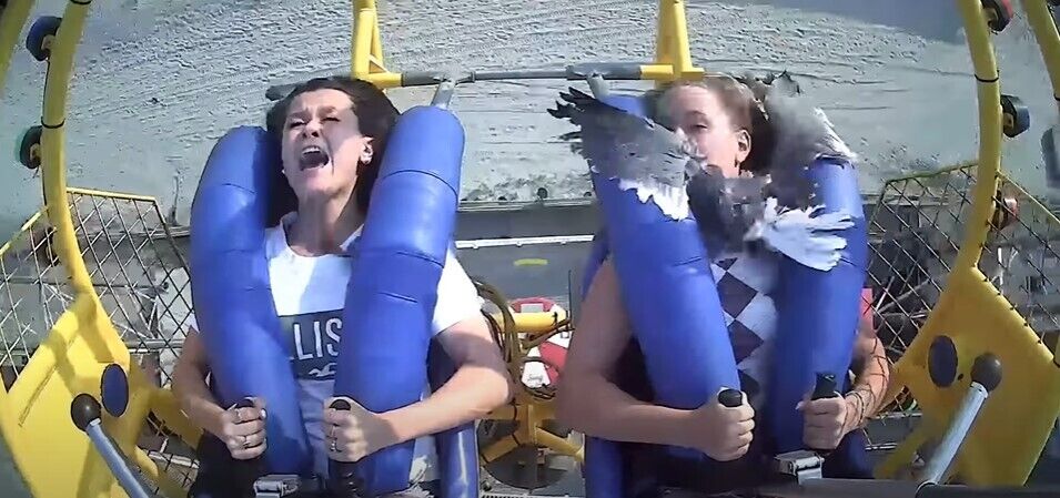 Момент попал на видео. dqxikeidqxitkant