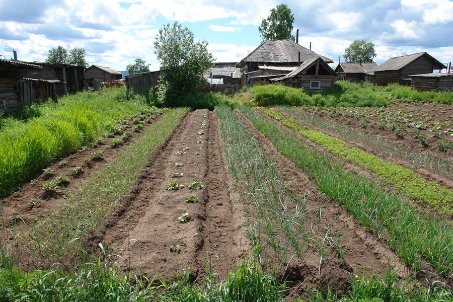 Налог на огород: кому придется платить за пользование землей dqxikeidqxitkant