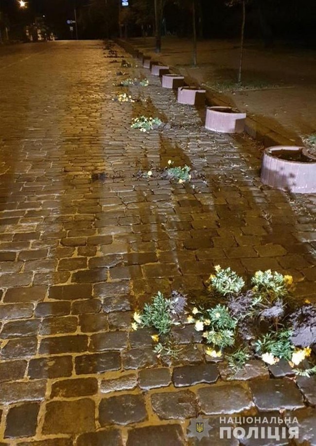 Мужчина повредил клумбы на Алее Героев Небесной Сотни в Киеве, - Нацполиция 01 dqxikeidqxitkant