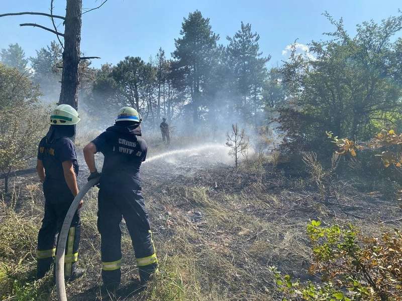 На Хортице произошел масштабный пожар, подозревают поджег. Фото и видео dqxikeidqxitkant