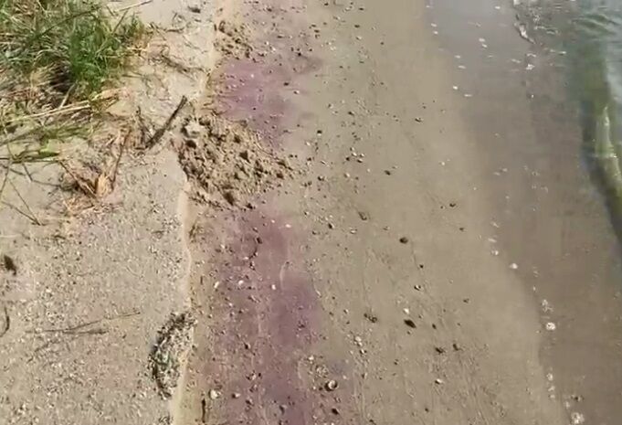 На берегу появился красный шлам dqxikeidqxitkant