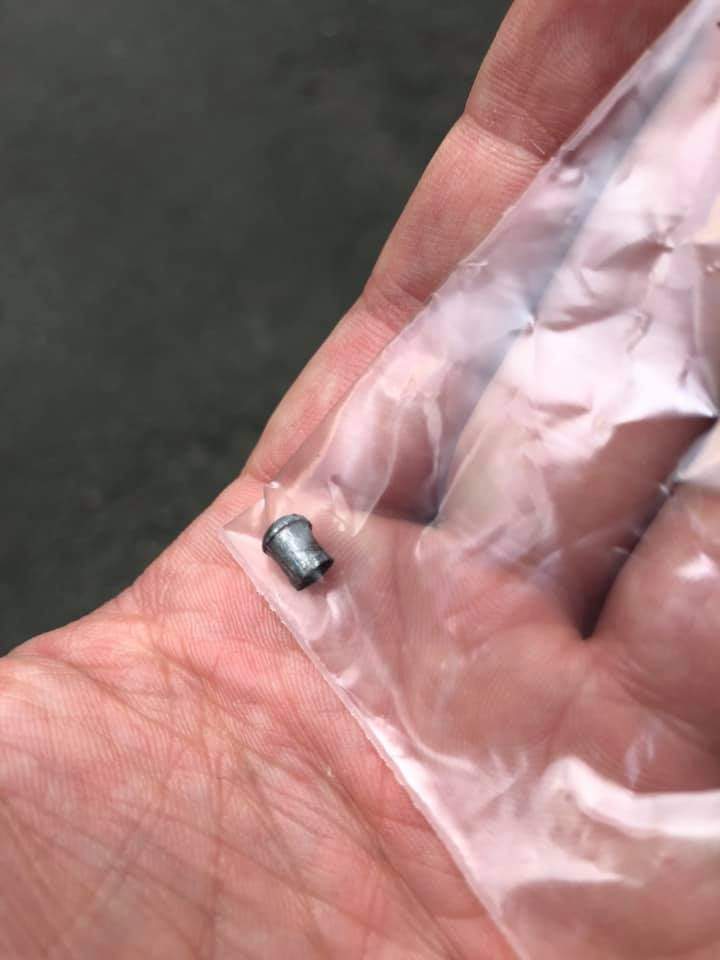 Стрелял в Собаку, животные, Киев, криминал, оружие Стрелял в Собаку, животные, Киев, криминал, оружие dqxikeidqxiqqeant