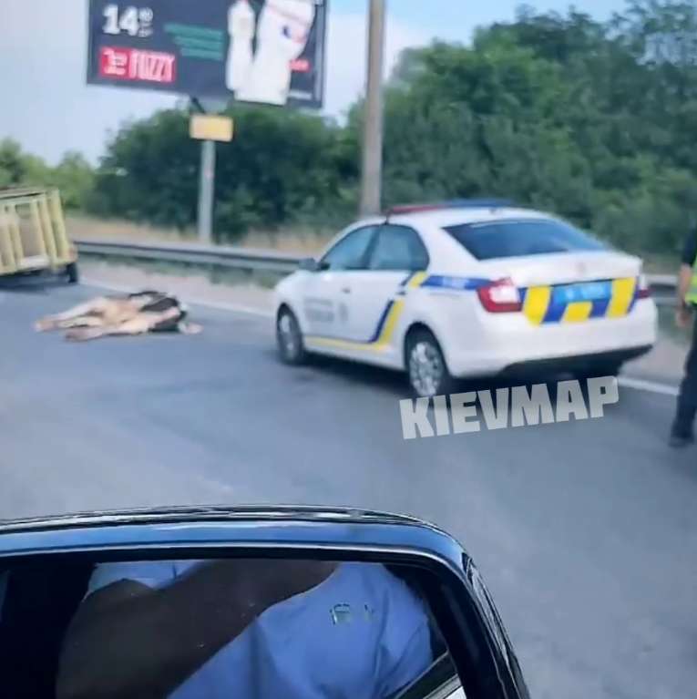 Патрульные составили протоколы