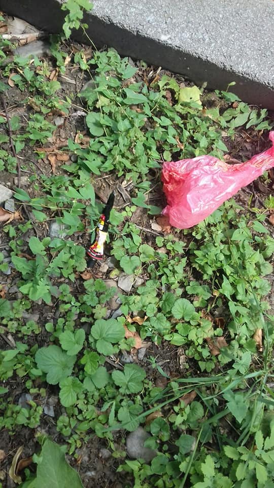    :    dqxikeidqxiqqeant