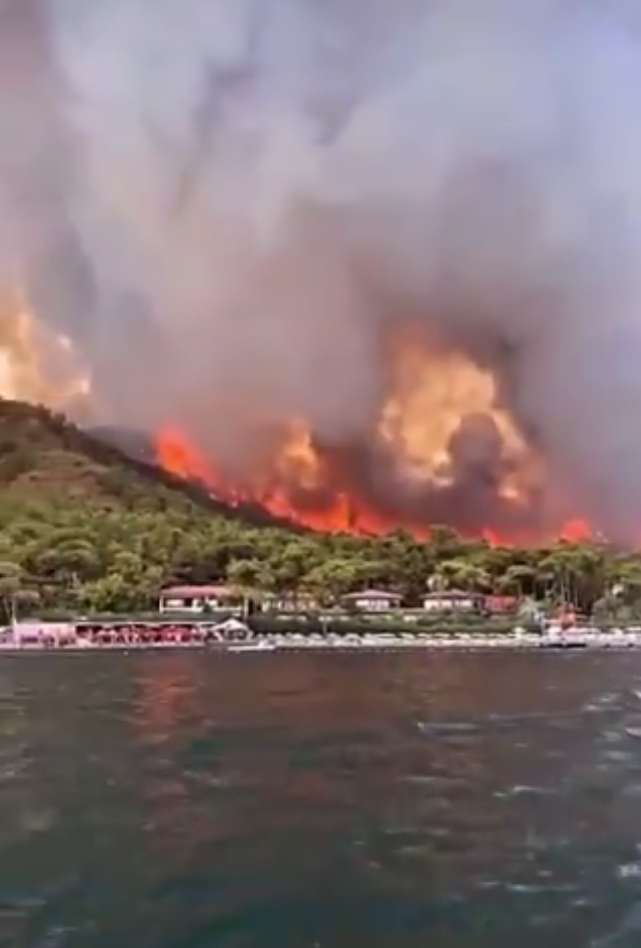 Пожары в Турции вспыхнули с новой силой. dqxikeidqxitkant