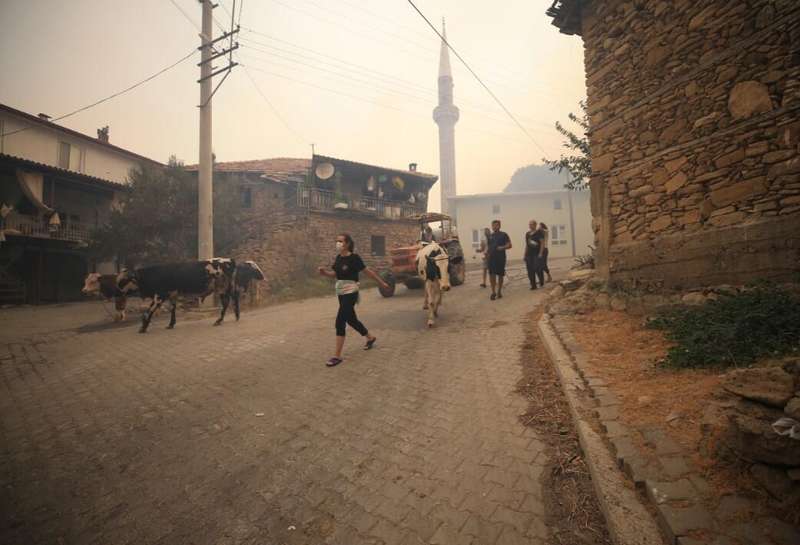 Людей эвакуируют из-за пожаров в Турции.