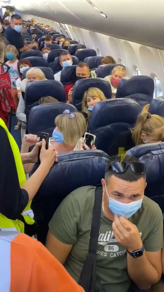 Женщина устроила скандал в самолете. dqxikeidqxitkant