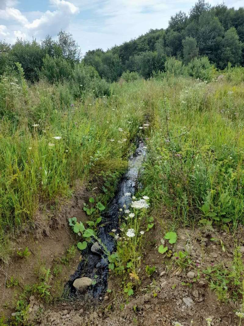 На Львівщині Вилив нафти Біля Сколе 30.07.2021 dqxikeidqxiqqeant