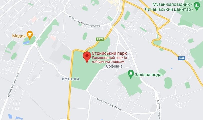 ЧП произошло в Стрыйском парке dqxikeidqxiqqeant