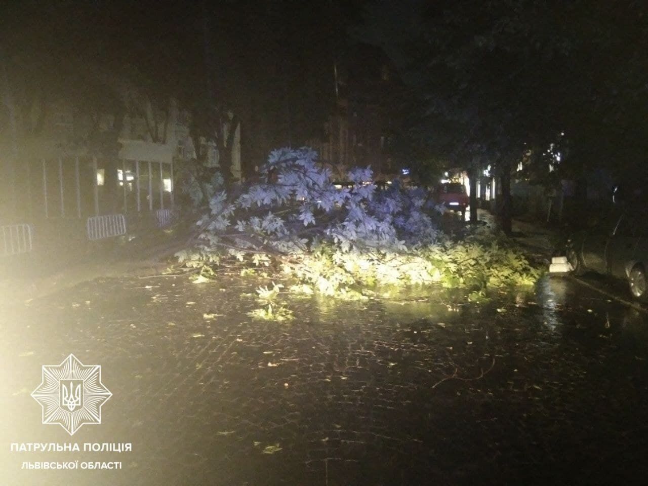 Дерево перекрыло движение на улице Князя Романа