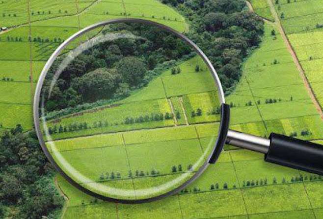       ,    ʼ      .            糿,     ̳