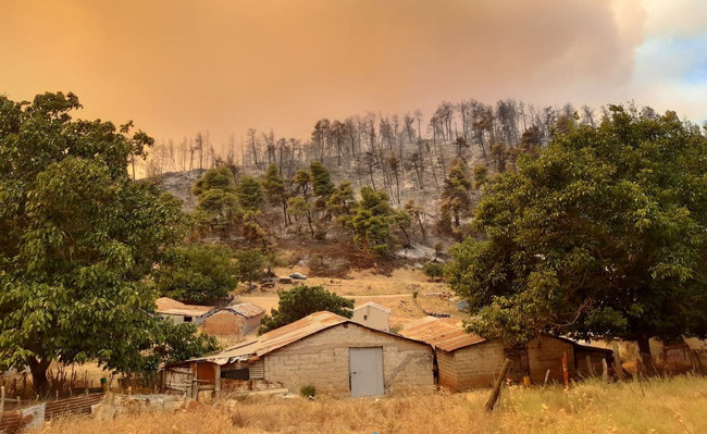 Украинские спасатели борются с огнем в Греции: спасены два населенных пункта 05