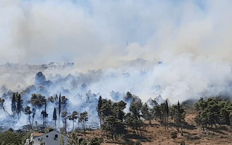 пожар в Черногории, лесной пожар dqxikeidqxiqqeant