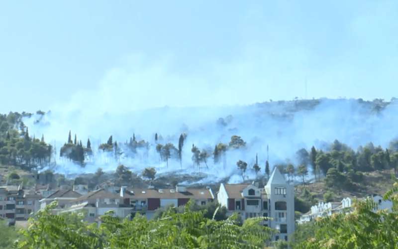пожар в Черногории, лесной пожар