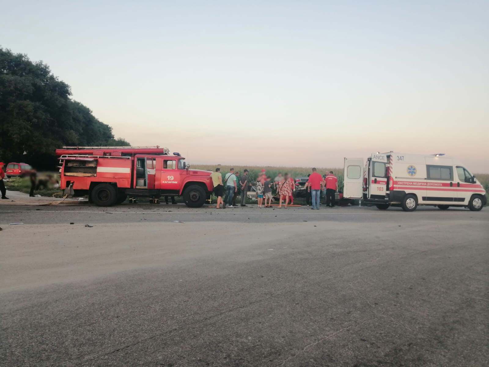 В Киевской области столкнулись две легковушки. dqxikeidqxitkant