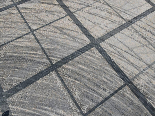  -     dqxikeidqxitkant