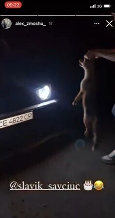 Кадрами издевательств над лисенком парни поделились в сети