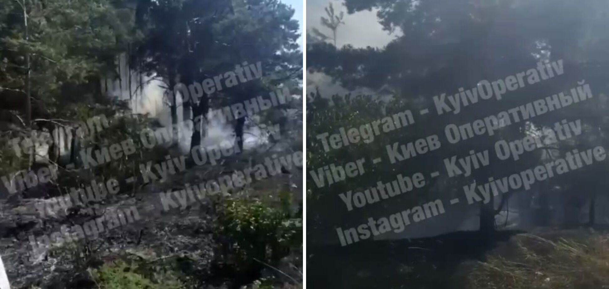 Под Лебедевкой горел лес