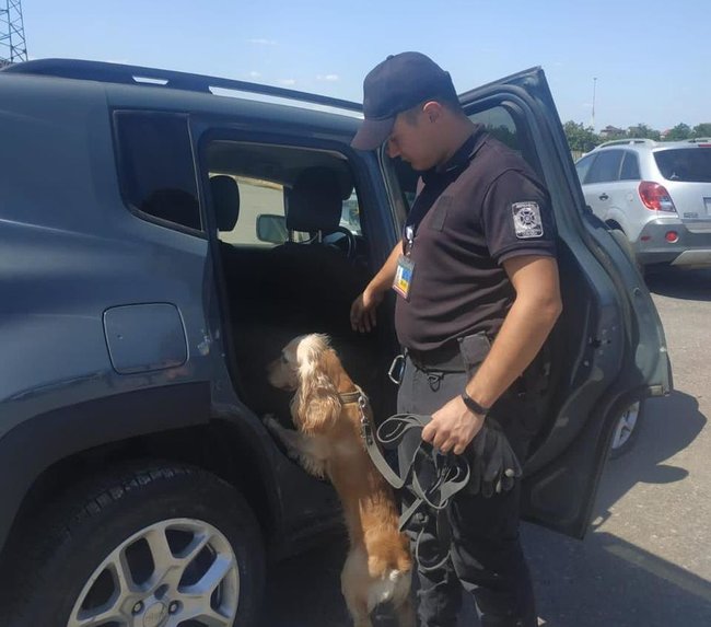 В прибывших в контейнерах из США автомобилях нашли патроны и наркотики, - Госпогранслужба 01 dqxikeidqxiqqeant